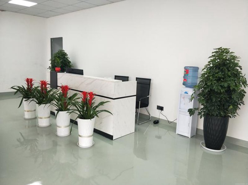 汽车市场风云：走进四川汽车产业的风向标